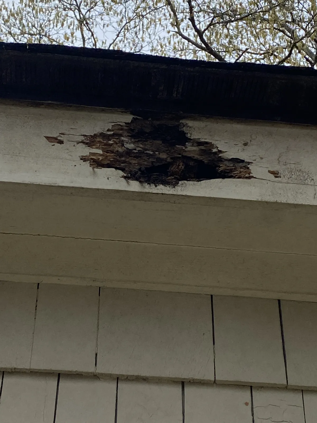 Severely rotted fascia board caused by long-term water damage at the roof edge