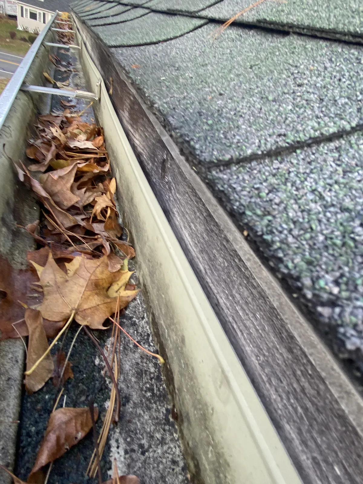 Gutter channel filled with wet leaves and debris along an asphalt shingle roof